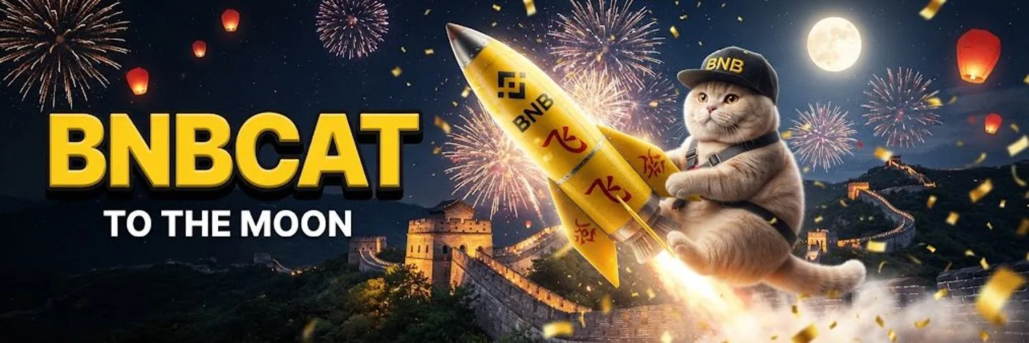 BNBCAT riding a rocket over the Great Wall